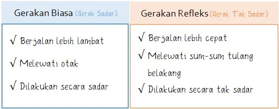 Perbedaan Gerak Biasa dan Gerak Refleks