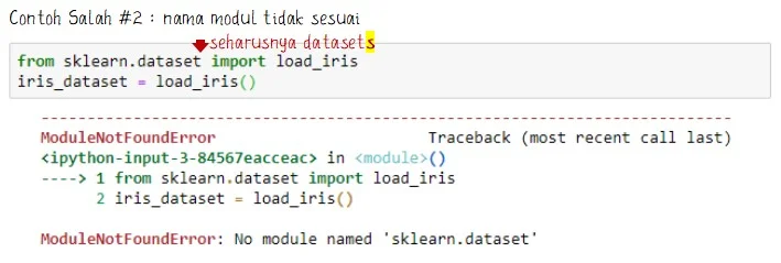 Contoh Kesalahan pada Sat Import Dataset Bunga Iris