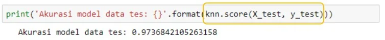 Skor Akurasi MOdel Dataset Iris