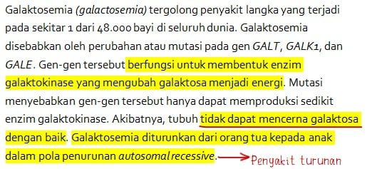 Contoh Soal Literasi dalam Bahasa Indonesia