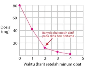 Berapa banyak obat yang masih tetap aktif pada akhir hari pertama?